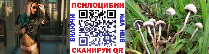 Галлюциногенные грибы мицелий  Купить  Облучье 